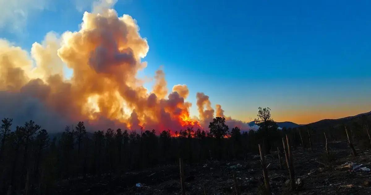 Gisele Bundchen Fala Sobre Incêndios na Califórnia e Suas Consequências