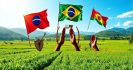Governo Lula: 5 Medidas para Proteger Lideranças do MST