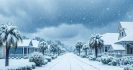 Tempestade Histórica: Neve Recorde em Florida, Louisiana e Texas